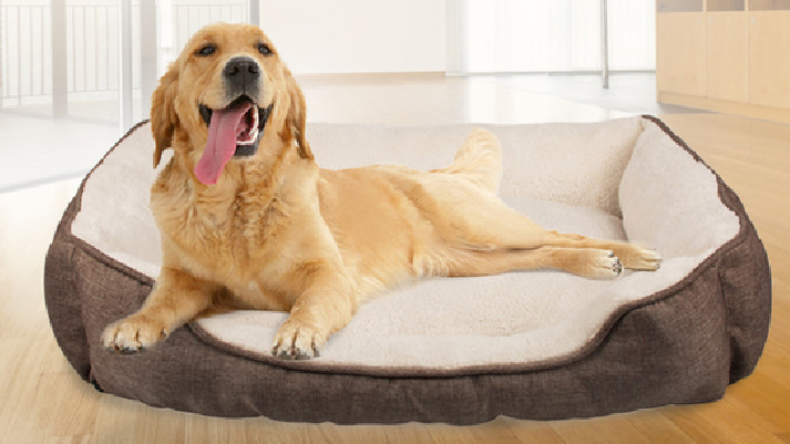 mais recente caso da empresa sobre Cama moderna luxuosa do cão de estimação do coxim da cama do animal de estimação